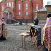 dsc_5333