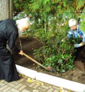 Акция «Посади свое дерево» в Ивантеевском благочинии